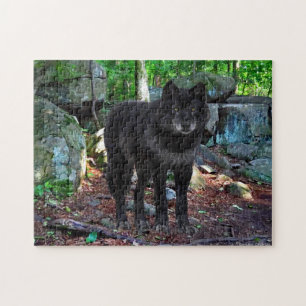 "The Black Wolf" Puzzle