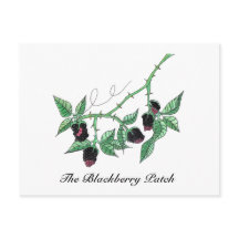 The Blackberry Patch...Postcard
