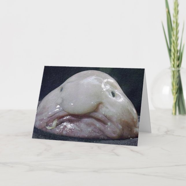 The Blobfish Card (Front)