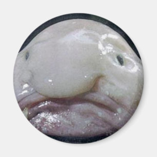 The Blobfish Magnet