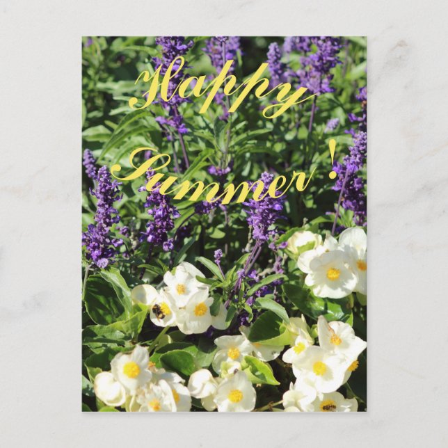 The blooming lavander and begonium postcard (Front)