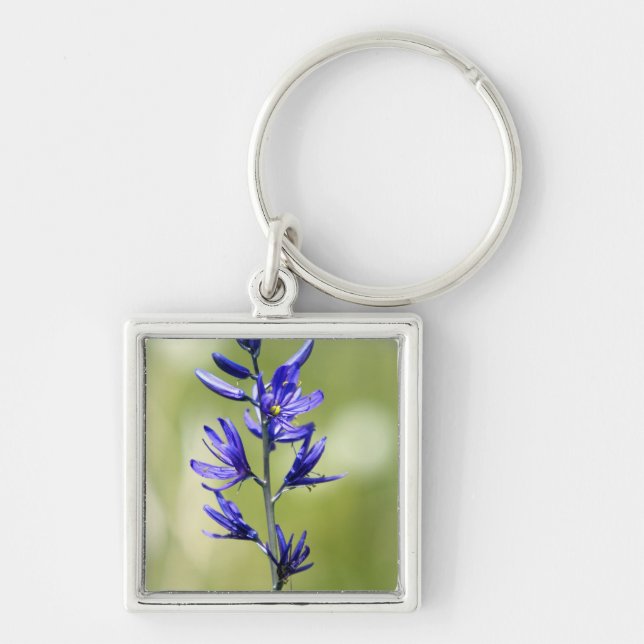 The blossom of a camas lily in Valley County, Key Ring (Front)