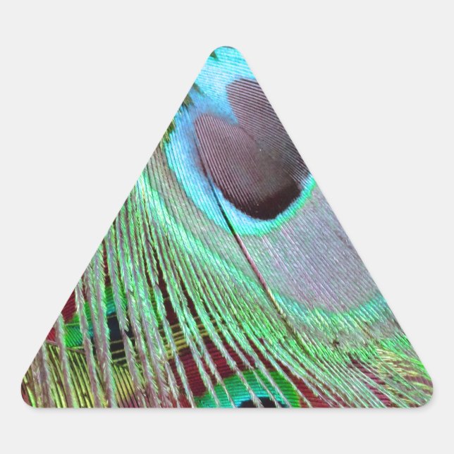 The Blue Eye peacock flowing feather. Triangle Sticker (Front)