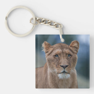 The Blue-Eyed Lioness Key Ring