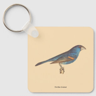 The Blue Grosbeak, James De Kay's New York Birds Key Ring