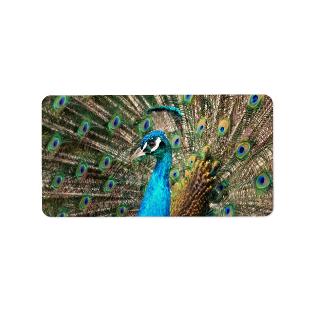 The blue peacock label (Front)