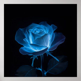 The Blue Rose Bioluminescent Flower on Black Poster