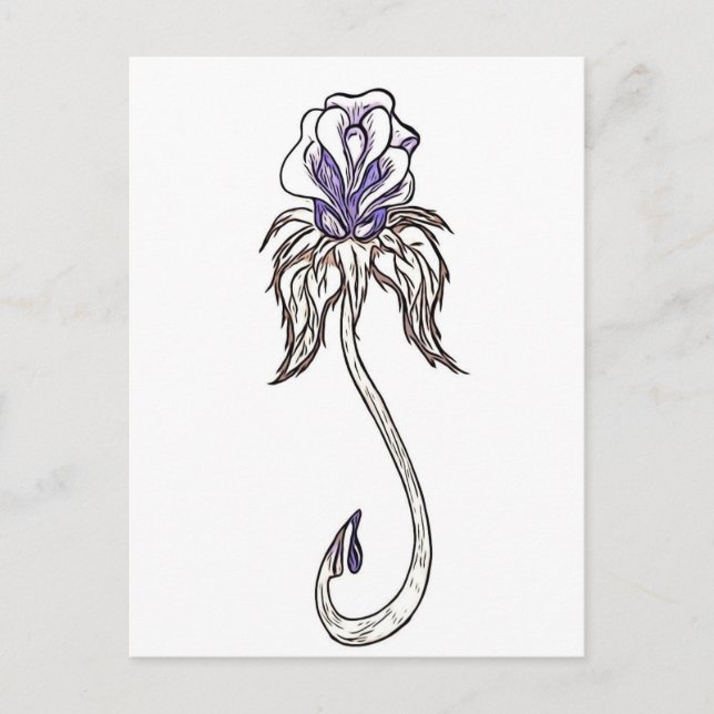 The Blue Rose Postcard (Front)