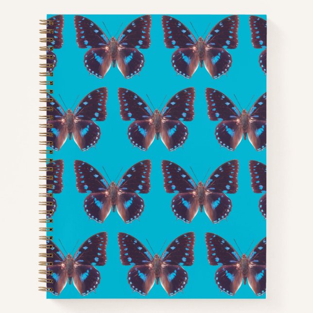 The Blue Swallowtail Butterfly Hardcover  Notebook (Front)