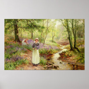 The Bluebell Glade Poster