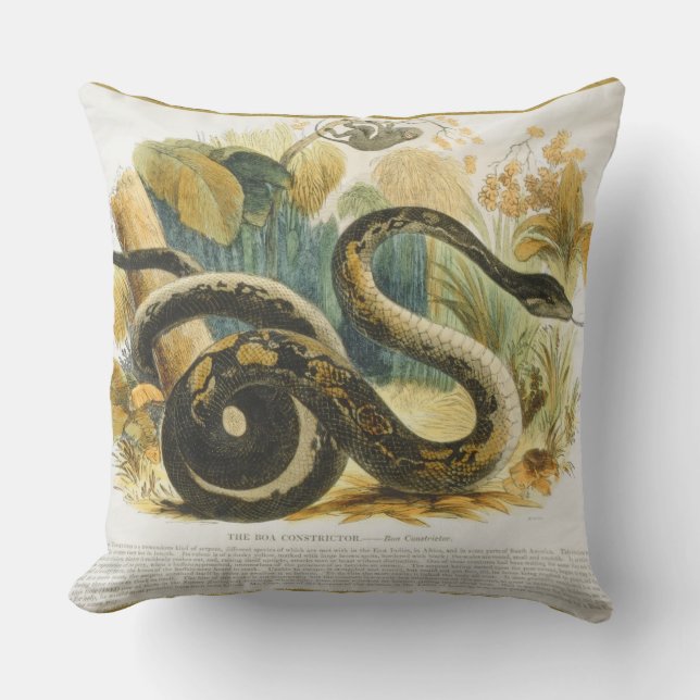 The Boa Constrictor, educational illustration pub. Cushion (Front)