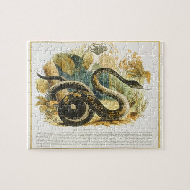The Boa Constrictor, educational illustration pub. Jigsaw Puzzle (Horizontal)