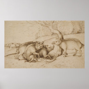 The Boar Family Poster