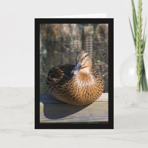 The Boardwalk Beauty Card