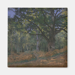 The Bodmer Oak, Fontainebleau Forest Magnet