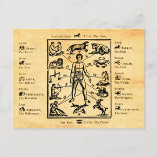 The Body, as governed by the Twelve Constellations Postcard