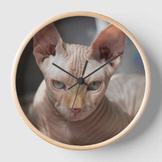 The Bold Cat – Artistic Wall Clock for Cat Lovers