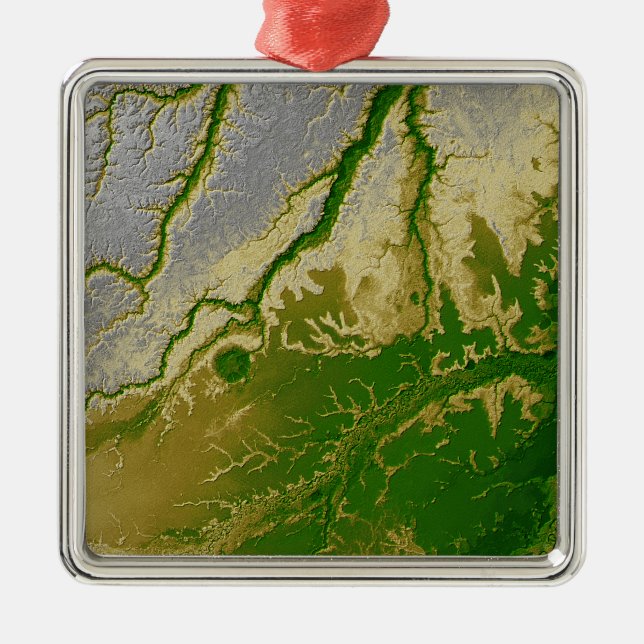 The Bolivian Amazon Metal Tree Decoration (Front)