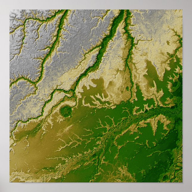 The Bolivian Amazon Poster (Front)