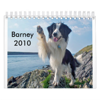 The Border Collie 2010 Calendar