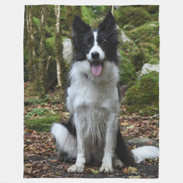 The BORDER COLLIE Fleece Blanket (Front)