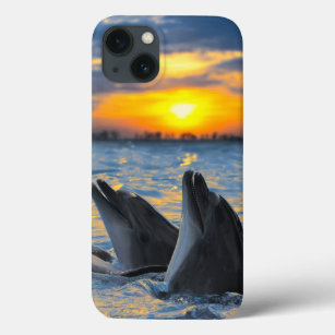 The bottle-nosed dolphins in sunset light iPhone 13 case