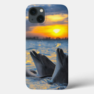 The bottle-nosed dolphins in sunset light iPhone 13 case