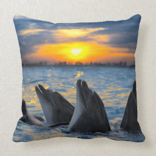 The bottle-nosed dolphins in sunset light cushion