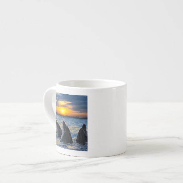 The bottle-nosed dolphins in sunset light espresso cup (Front Left)