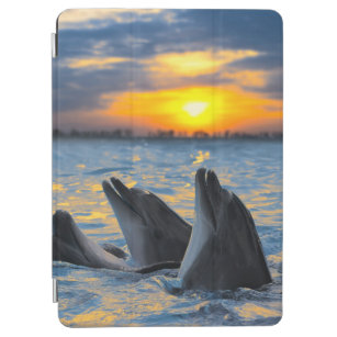 The bottle-nosed dolphins in sunset light iPad air cover