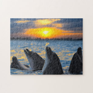The bottle-nosed dolphins in sunset light jigsaw puzzle