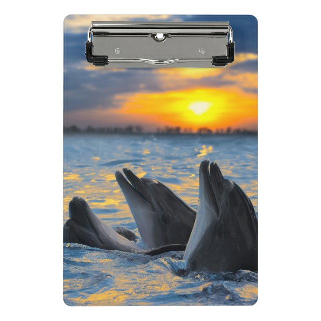The bottle-nosed dolphins in sunset light mini clipboard (Front)