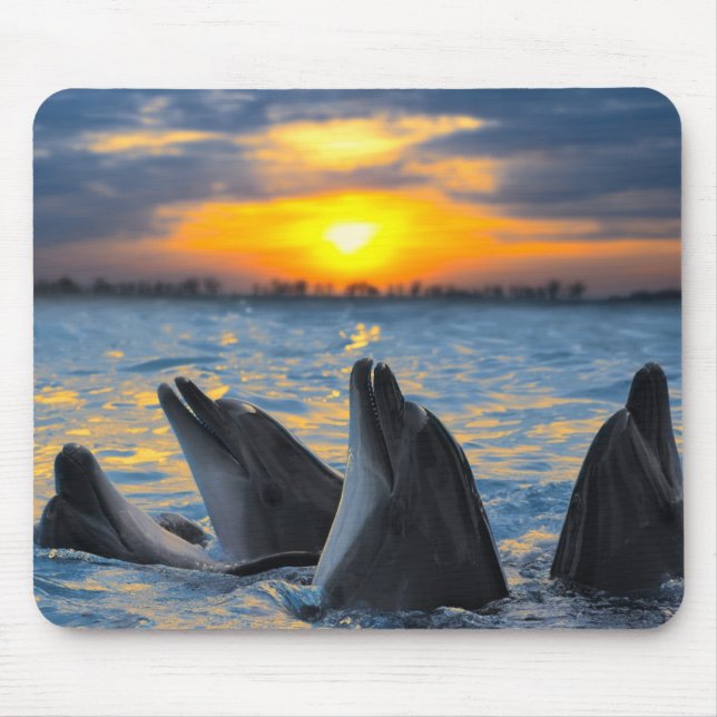 The bottle-nosed dolphins in sunset light mouse pad (Front)
