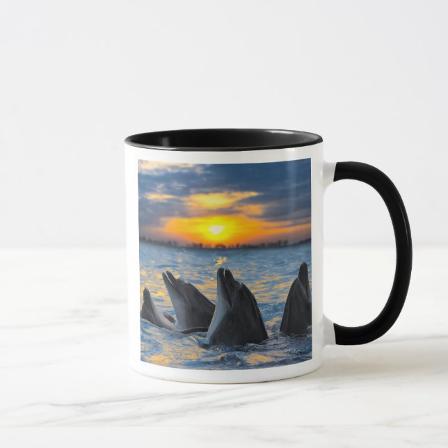The bottle-nosed dolphins in sunset light mug (Right)