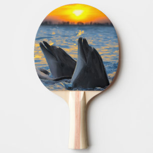 The bottle-nosed dolphins in sunset light ping pong paddle