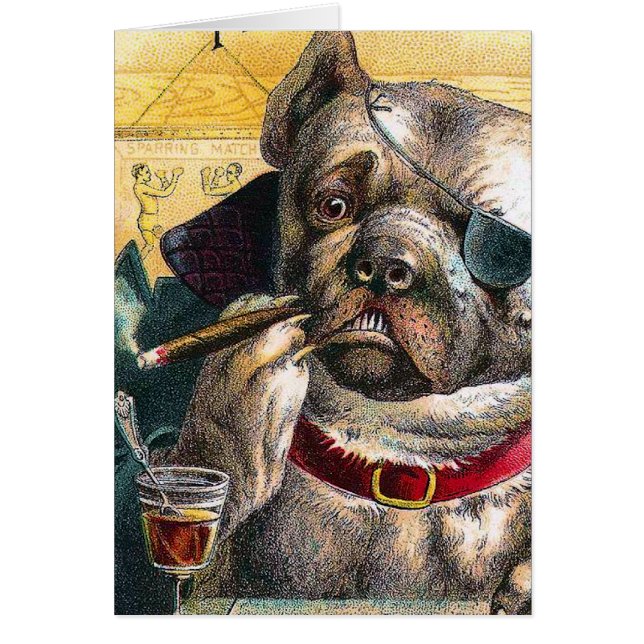 The Bouncer Dog (Front)