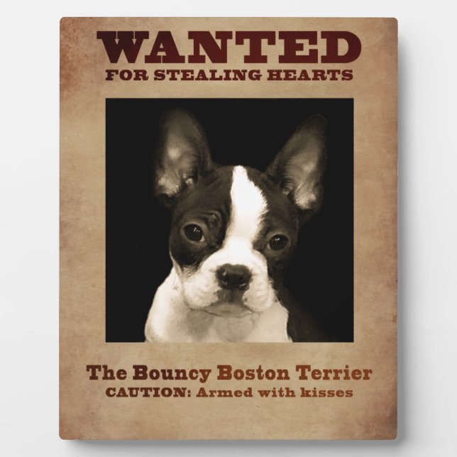The Bouncy Boston Terrier Plaque (Front)