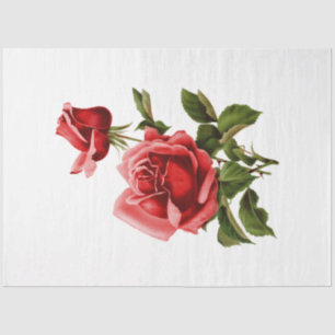 The Bouquet Series Design 134 Tissue Paper