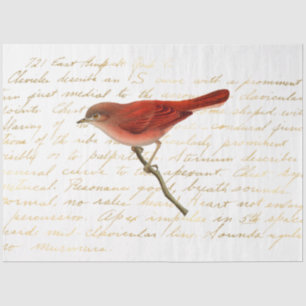 The Bouquet Series Design 140 Tissue Paper