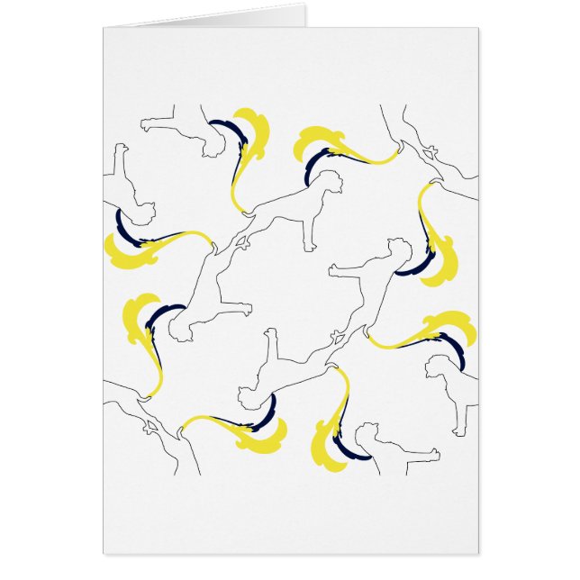 The Boxer Pattern (Front)