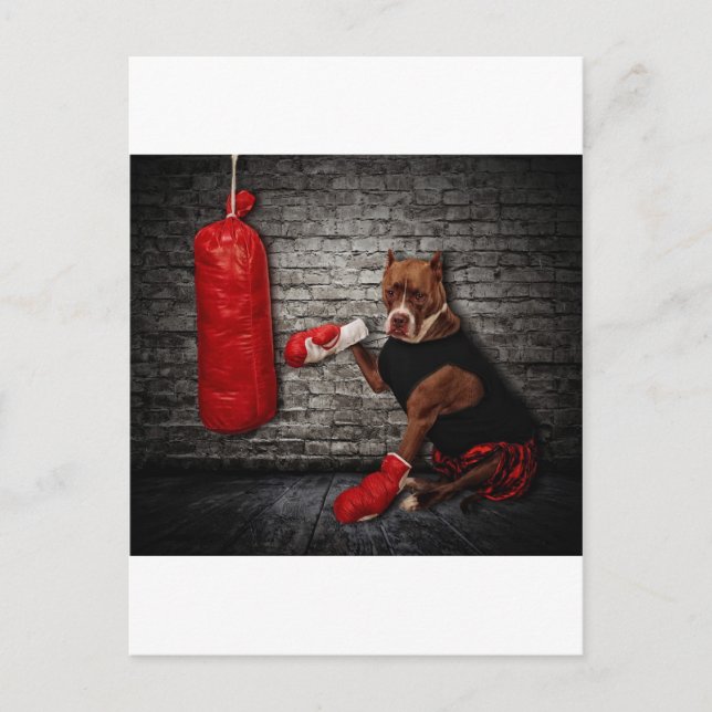 The boxing Pit Postcard (Front)