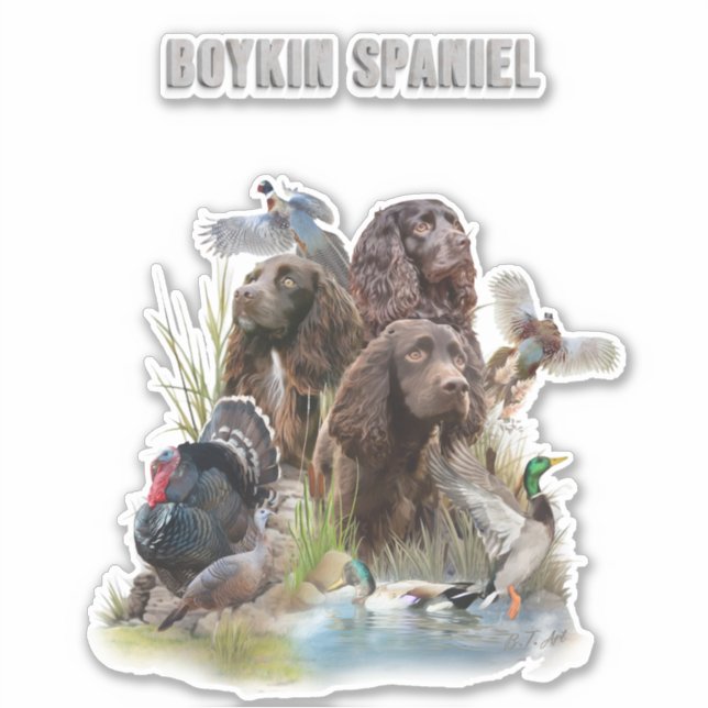 The Boykin Spaniel (Front)