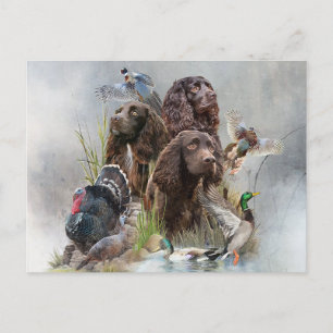 The Boykin Spaniel Holiday Postcard