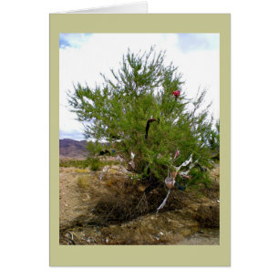 The Bra Bush Underwear