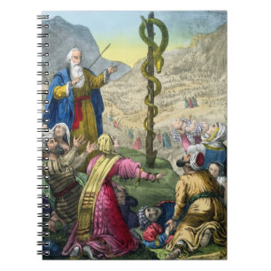 The Brazen Serpent, from a bible printed by Edward Notebook