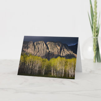 The Brazos in New Mexico Card
