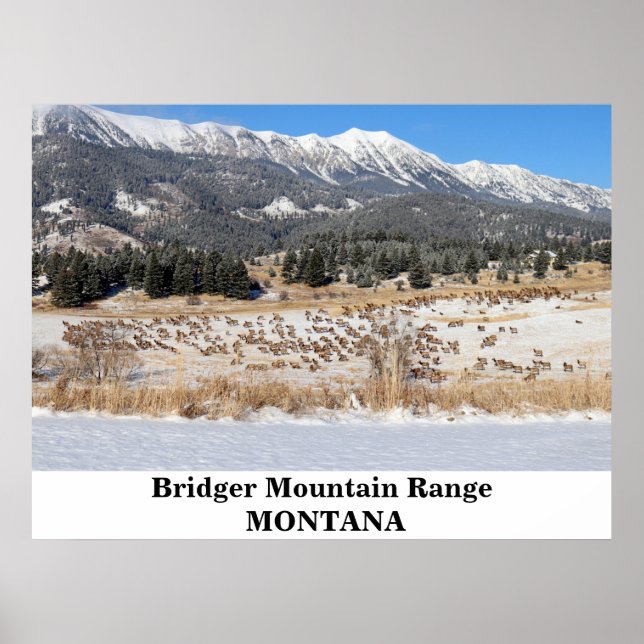 The Bridger Mountain Range in Montana Poster (Front)
