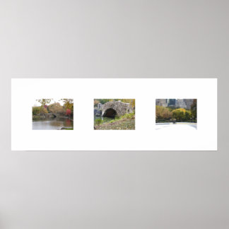 The Bridges In Colour Poster