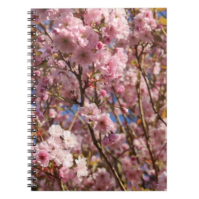 The bright Spring color of cherry blossom Notebook (Front)