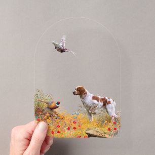 The Brittany spaniel Acrylic Invitations
